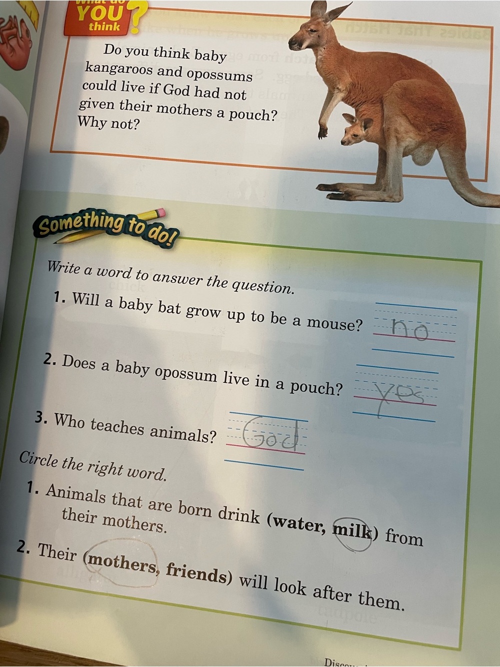 Abeka 1st Grade History Science Health Curriculum - Picture 3 of 9
